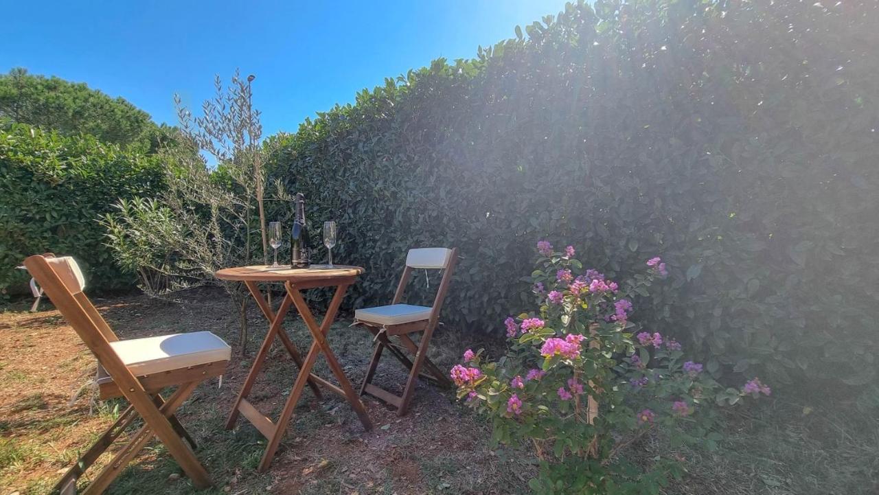 Lea Apartment Novigrad Istria Exterior foto